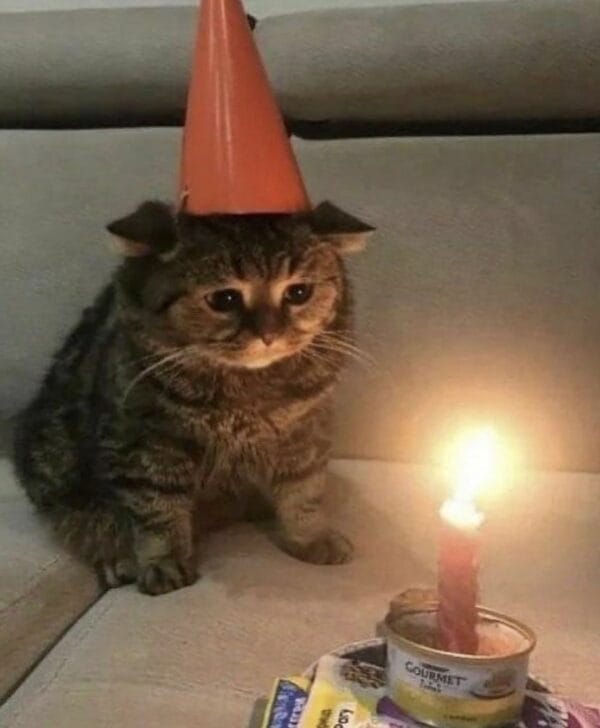 item6931169398147